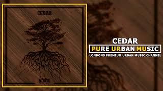 Shocktown - Cedar | Pure Urban Music