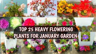 TOP 25 HEAVY FLOWERING PLANTS FOR JANUARY GARDEN | MUST HAVE JANUARY FLOWERS 