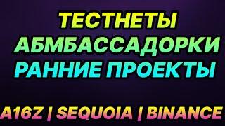 Амбассадорские программы, тестнеты. Активности на ближайшее время