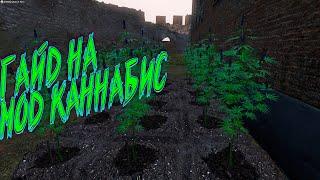 DAYZ Как выращивать каннабис. Гайд на мод каннабис  #cannabis #mod #dayz #guide