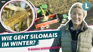 Ernte mit digitaler Technik optimieren – Hof Vogelsang | WDR Lokalzeit Land.Schafft.