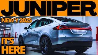 FINALLY! 2025 Model Y Juniper - New Tesla Spotted On The Streets Of CHINA, Release Date And News