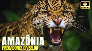  Amazônia Selvagem - Os Maiores Predadores da Selva Amazônica   Documentário sobre Animais 