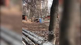 В детсаду №4 города Одинцово продолжается "летний" ремонт