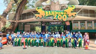 ANAK-ANAK TK BKOW STUDY TOUR KE KEBUN BINATANG BANDUNG