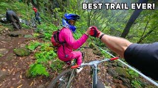 The Trail Every Mountain Biker Dreams of...