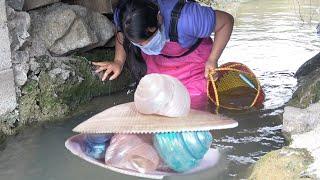 88River's Pearl Extravaganza: Girl Finds a Mutated Mussel Overflowing with Gems!