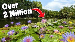 2 Million Tropical Plants! Tour and Pond Design ⁠​⁠