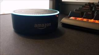 Alexa Skill - Champaign/Urbana Bus Times