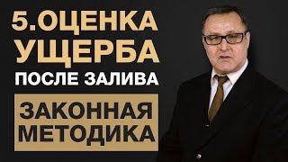  5. Независимая оценка после залива квартиры. Экспертиза залива