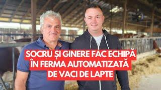 Socru și Ginere - echipă în ferma automatizată de vaci de lapte