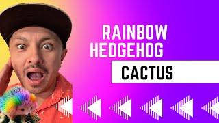 Rainbow Hedgehog Cactus : Show me the Green episode 3