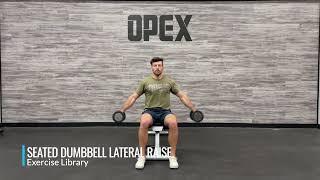 Seated Dumbbell Lateral Raise