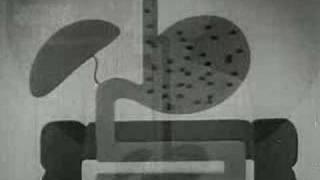 Alcohol and the Human Body (1949) Part One