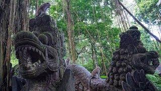 Ubud Monkey Forest: The Sacred Monkey Sanctuary in Bali