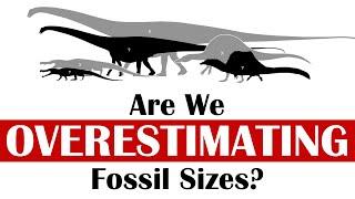 Are We Overestimating Fossil Sizes?