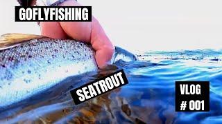 Sea trout fishing Norway - HAVØRRED,SJØØRRET- Fly Fishing Vlog #1 Seatroutfishing in the Oslofjord.