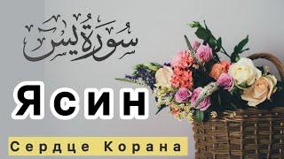 Сура Ясин (СЕРДЦЕ КОРАНА) СЛУШАЙТЕ КАЖДЫЙ ДЕНЬ. будет БАРАКАТ КАЖДЫЙ ДЕНЬ 