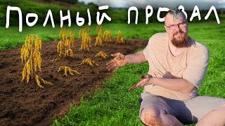 Кажется я убил все растения на участке :(
