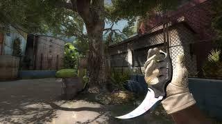 Karambit Blue Gem #507 Show case