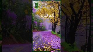 SEE ME HUB TV #surahmuzamil #qurantilawat #quranrecitationforsleep #quran #islam #