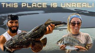 The BEST FISHING DESTINATION! - Species MAYHEM