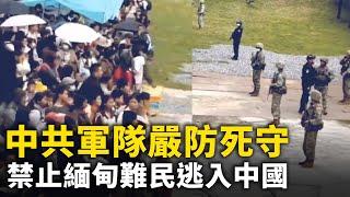 緬甸戰火連天 中共軍隊嚴防死守 禁止緬甸難民逃入中國！去世爸爸化作蝴蝶 來參加女兒的婚禮？四川強拆 強行抓人 推土機直接推掉老百姓的房子！  #網絡視頻  | #大紀元新聞網