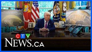 'Donald Trump is going to Donald Trump': Kapelos on his impact on Canada-U.S. relations