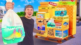 I Bought Every Live Fish Mystery Box! (What’s Inside?)