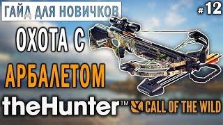 theHunter Call of the Wild #12  - Охота с Арбалетом + БРИЛЛИАНТ - ГАЙД для Начинающих