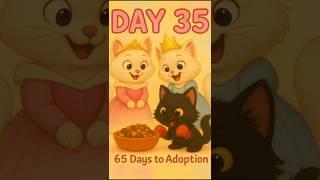 DAY-35new born kittensFree ADOPTION after 100 days.. read full description. #newbornkitten