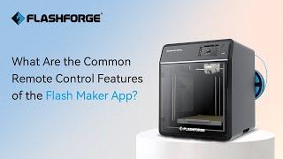 What Are the Common Remote Control Features of the Flash Maker App?