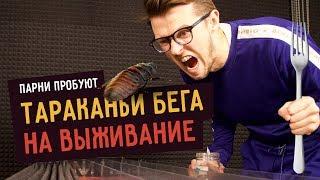 Парни пробуют ТАРАКАНЬИ БЕГА НА ВЫЖИВАНИЕ ️