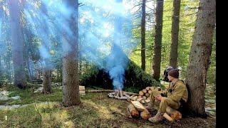 Solo bushcraft сamping  | Building a natural shelter in the spring using wood