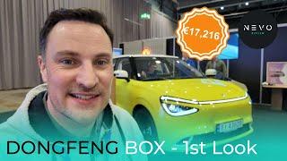 DONGFENG BOX - 1st Look at this €17,000 EV (NAMMI 01)