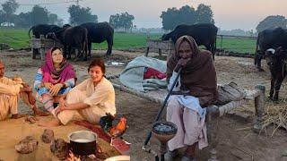 The Real Rural Life Pakistan  In Winter Fog December 2023 | Unseen Village Culture