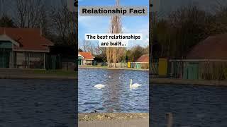 Relationship facts you must know about. #vitaminmusic #love #relationship #facts #youtubeshorts