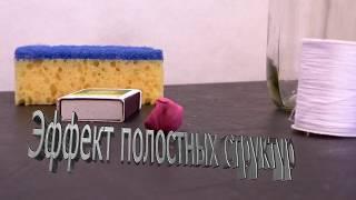 Эффект полостных структур (ЭПС) опыт со спичкой