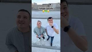 Temani qattimi️️ #tema #trend #funny #bekvines #rek #topvines #comedy #tiktok #prikol #prank #top