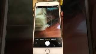 Fixing iPhone 6s+ camera shaking issue with magnet