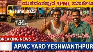 16 June 2025 Bangalore Yeshwantpur market | onion rate hike | APMC Market | Yeshwantpur  onion marke