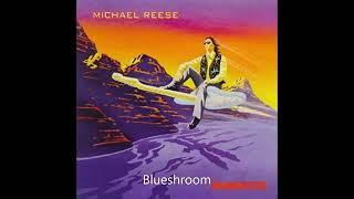 Blueshroom - Michael Reese Dragonflyer 1995