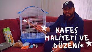 MUHABBET KUŞU KAFES MALİYETİ VE DÜZENİ