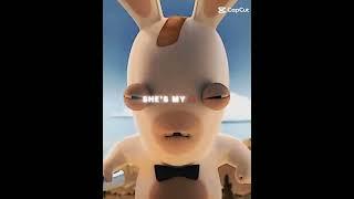 rabbits 000 x alibi#rabbidsinvasion#rabbit#editz