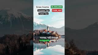 Living on $1 Million After Taxes in Slovenia #slovenia #taxes #conservative #liberal #salary