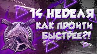 ОБЗОР НА 14 НЕДЕЛЮ ОПЕРАЦИИ ХИЩНЫЕ ВОДЫ! КАК ПРОЙТИ БЫСТРЕЕ?!(CS:GO)