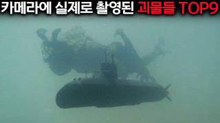 필리핀 심해 속에 살고 있다는 외계 생명체