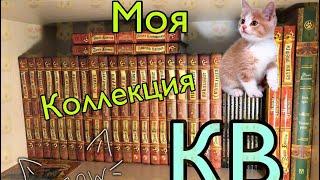 Моя коллекция книг «Котов-Воителей»