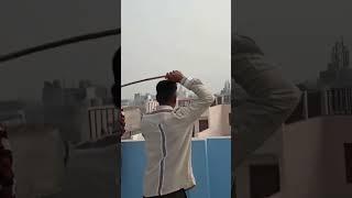 Delhi kabootar bazi Delhi pigeon lover kabootarbazi ek junoon #shortvideo #pigeon #kaboota #kabutar