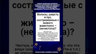 Волосы, шерсть и пух, состриженные с живого животного – (нечистота)?